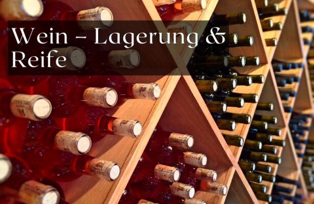 Wein – Lagerung und Reife - Weinlagerung und Reife – Die besten Tipps für perfekten Genuss