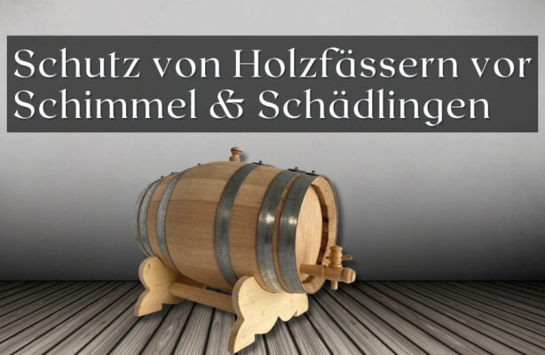 So schützt du Holzfässer vor Schimmel und Schädlingen - Holzfässer schützen – So verhinderst du Schimmel und Schädlinge