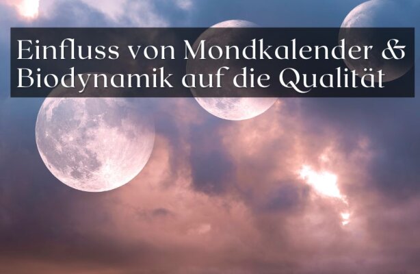 Wie beeinflusst Mondkalender und Biodynamik die Weinqualität? - Mondkalender und Biodynamik im Weinbau – Wie sie die Weinqualität beeinflussen