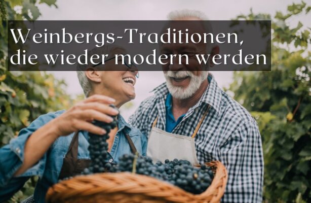 Alte Weinbergs-Traditionen, die heute wieder modern werden - Alte Weinbergs-Traditionen, die heute wieder modern werden