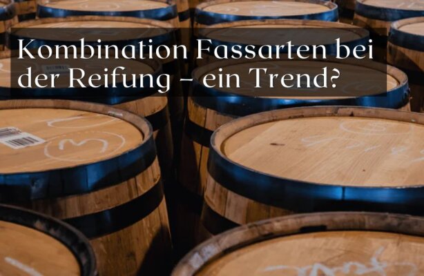 Kombination von verschiedenen Fassarten bei der Reifung – ein Trend? - Mehrere Fassarten bei der Reifung – sinnvoller Trend oder Spielerei?