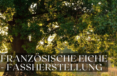 Französische Eiche – Das Herzstück hochwertiger Eichenfässer - Französische Eiche für Eichenfässer – Der Schlüssel zur perfekten Reifung von Wein und Spirituosen