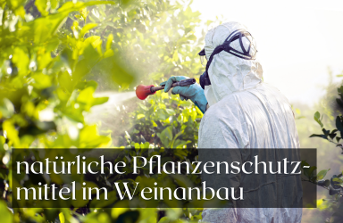 Verwendung natürlicher Pflanzenschutzmittel im biologischen Weinanbau - Natürliche Pflanzenschutzmittel im biologischen Weinanbau – Anwendung und Vorteile