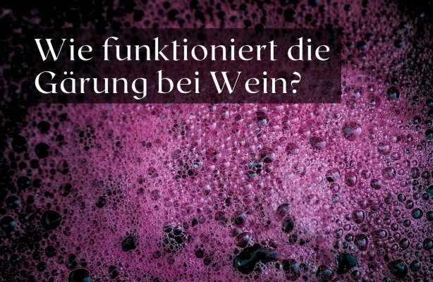Wie funktioniert die Gärung bei der Weinherstellung? Ein Blick auf Hefen und Zucker - Gärung bei der Weinherstellung: Hefen und Zucker im Fokus