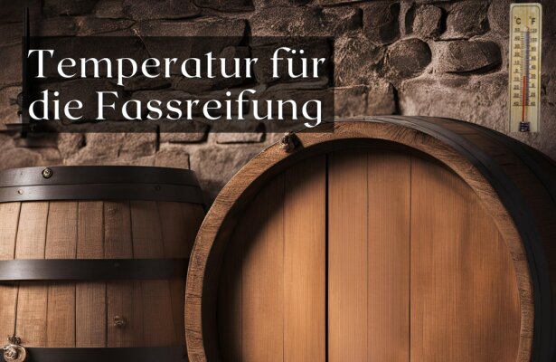 Die richtige Temperatur für die Fassreifung – Wie klimatisierte Keller helfen - Die richtige Temperatur für die Fassreifung – Wie klimatisierte Keller helfen