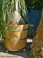 Blumentopf Eiche 58 L