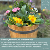 Blumentopf Eiche 10 L